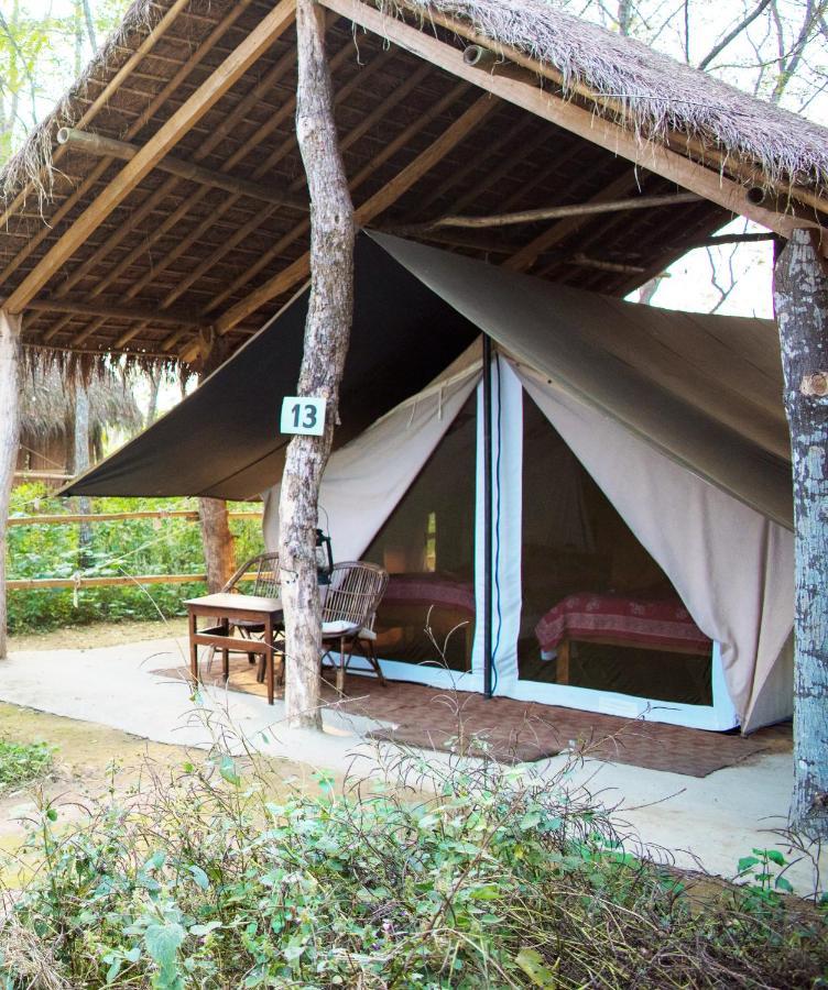 Tiger Tops Tharu Lodge&Elephant Camp Chitwan Eksteriør billede