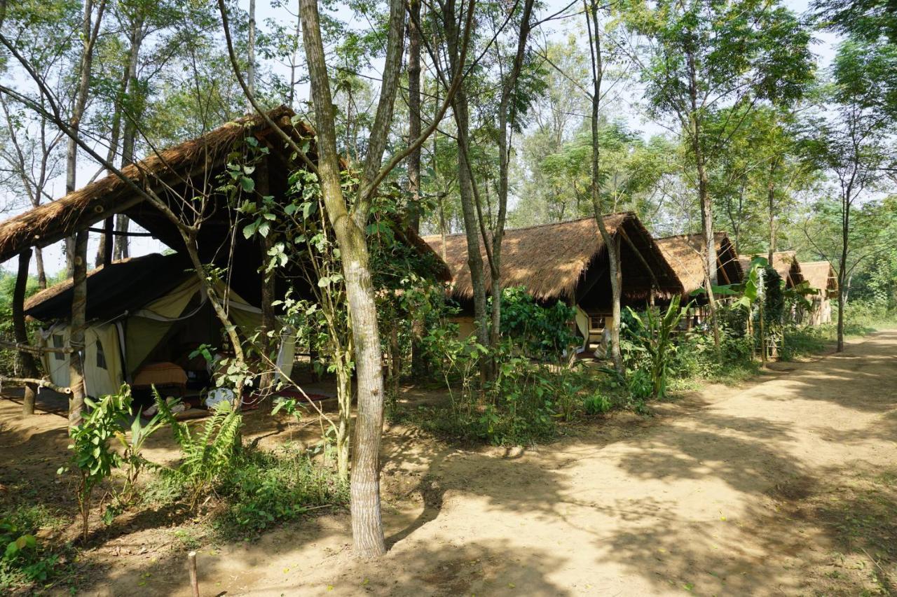 Tiger Tops Tharu Lodge&Elephant Camp Chitwan Eksteriør billede
