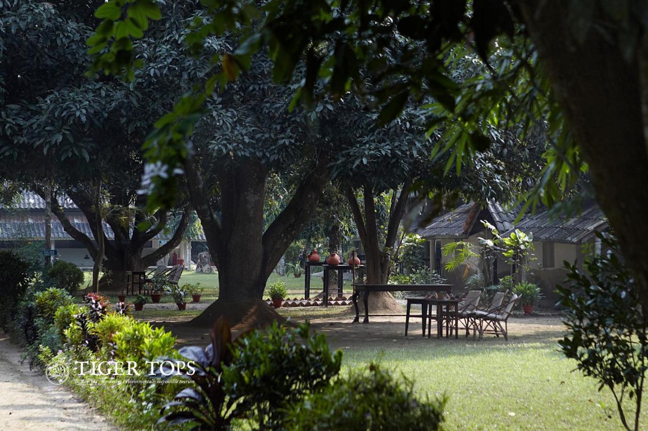 Tiger Tops Tharu Lodge&Elephant Camp Chitwan Eksteriør billede