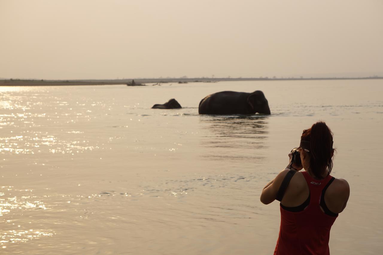 Tiger Tops Tharu Lodge&Elephant Camp Chitwan Eksteriør billede