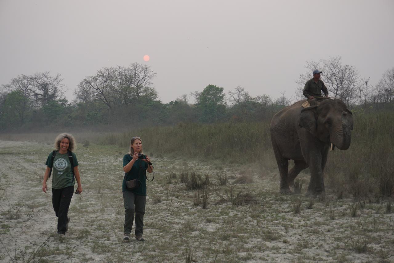Tiger Tops Tharu Lodge&Elephant Camp Chitwan Eksteriør billede