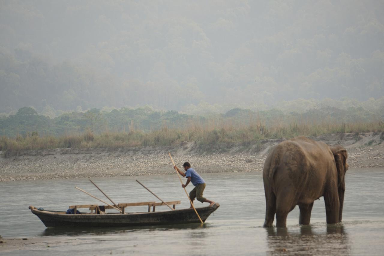 Tiger Tops Tharu Lodge&Elephant Camp Chitwan Eksteriør billede