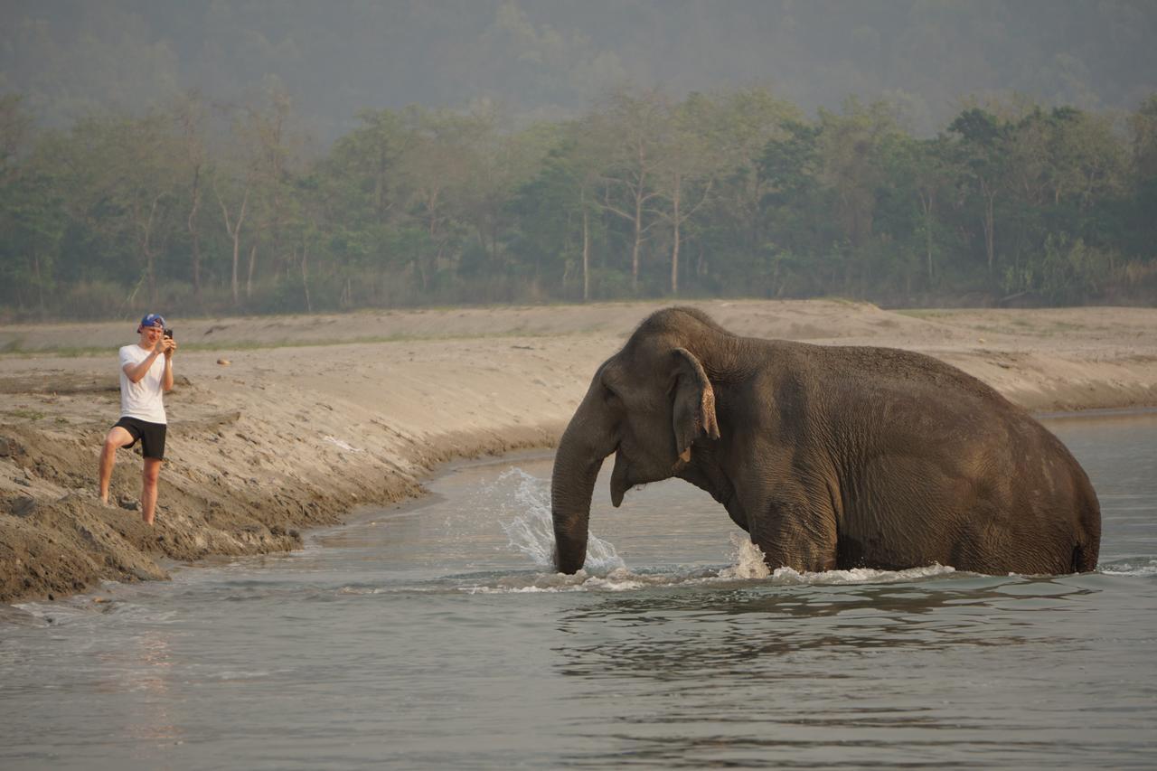 Tiger Tops Tharu Lodge&Elephant Camp Chitwan Eksteriør billede