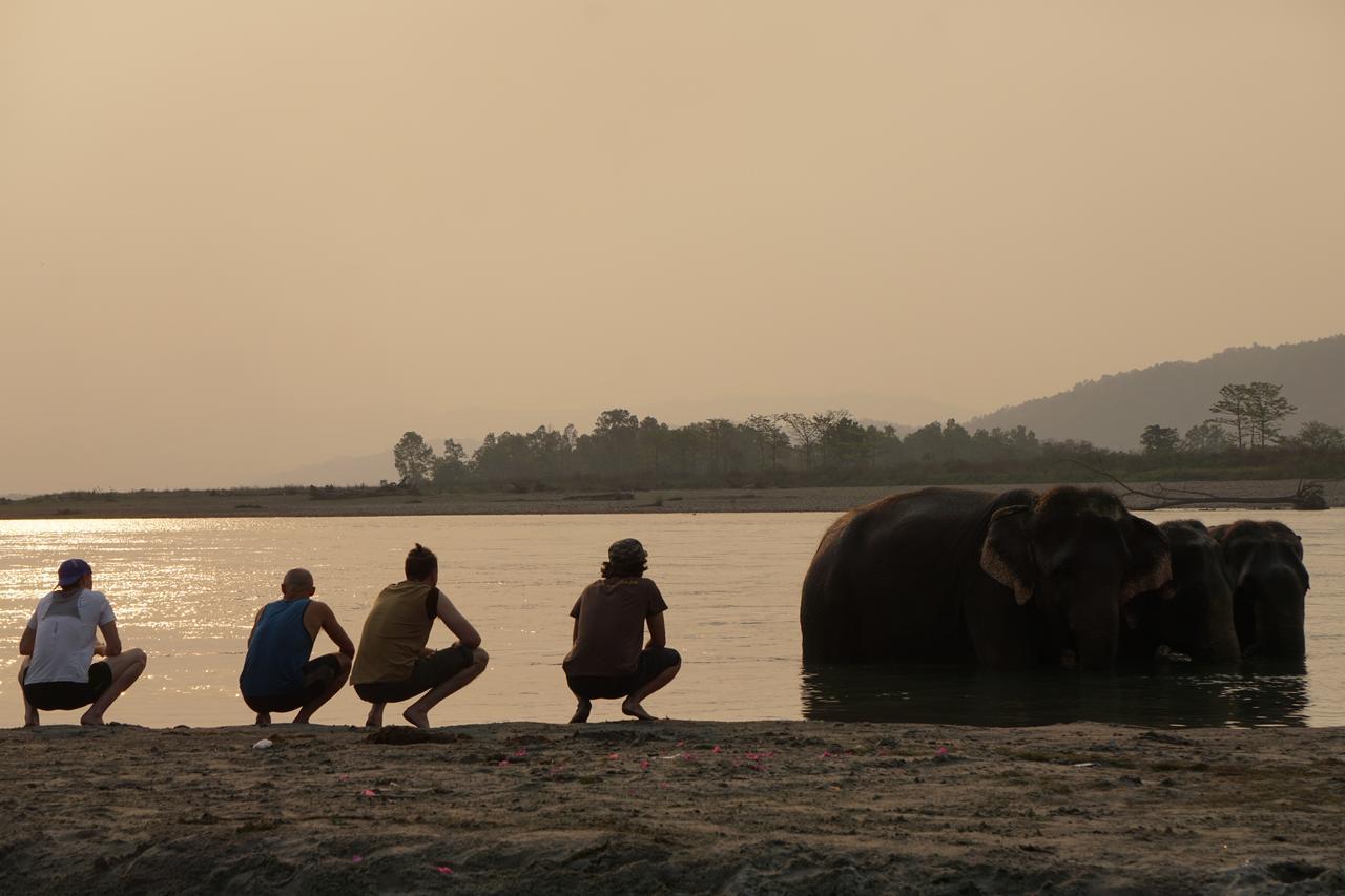 Tiger Tops Tharu Lodge&Elephant Camp Chitwan Eksteriør billede