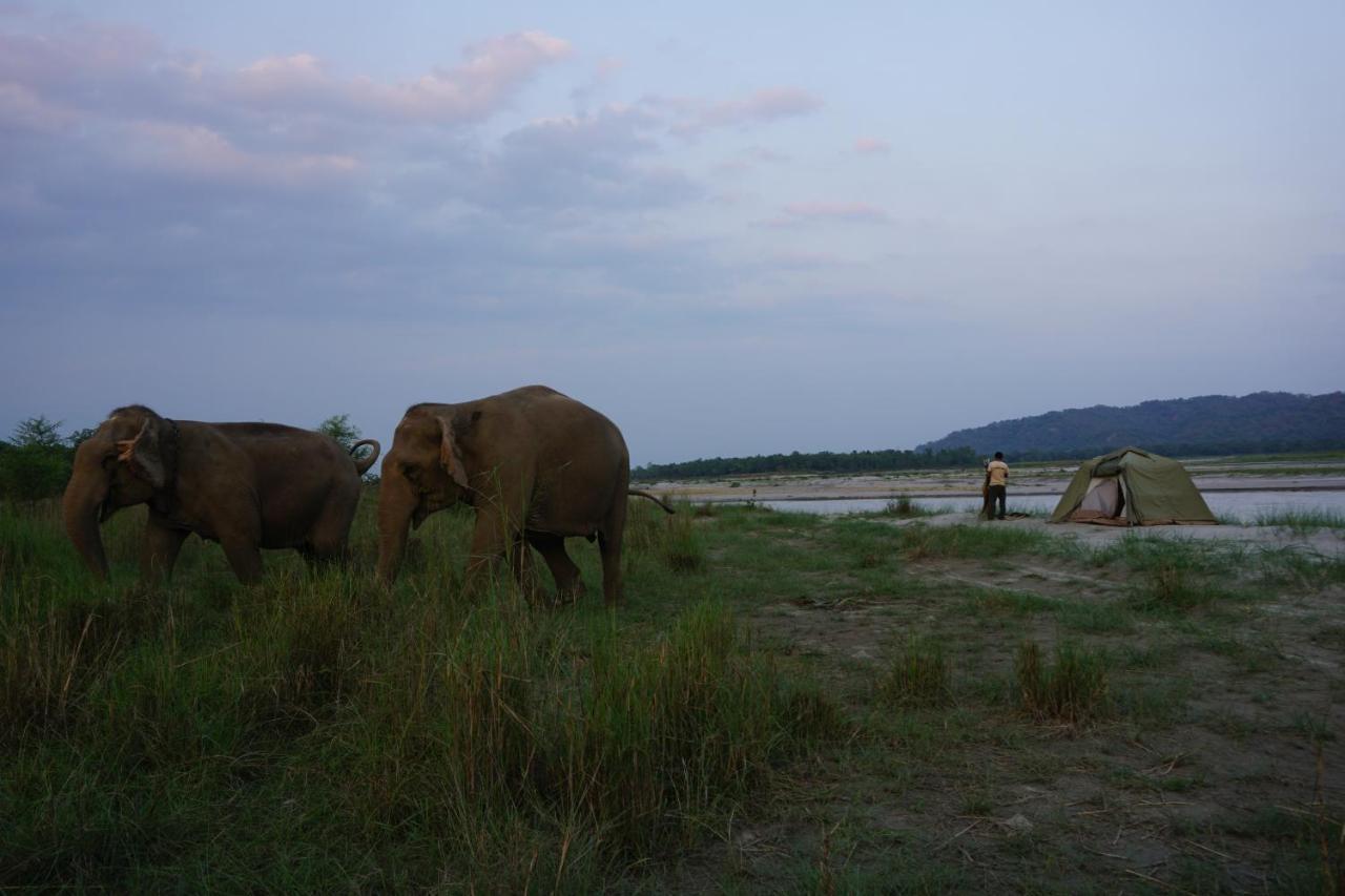 Tiger Tops Tharu Lodge&Elephant Camp Chitwan Eksteriør billede