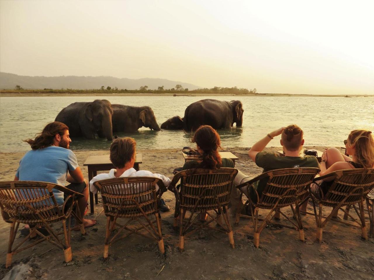 Tiger Tops Tharu Lodge&Elephant Camp Chitwan Eksteriør billede