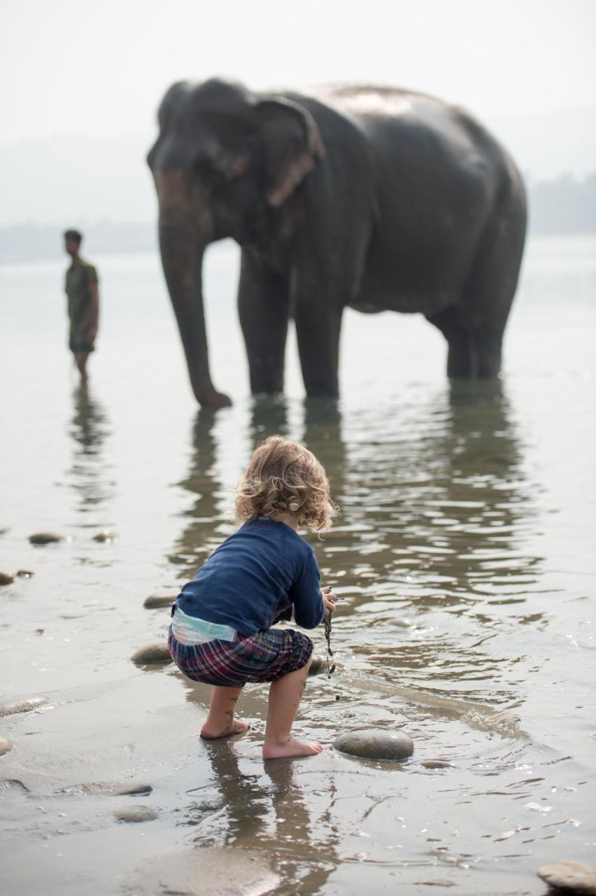 Tiger Tops Tharu Lodge&Elephant Camp Chitwan Eksteriør billede
